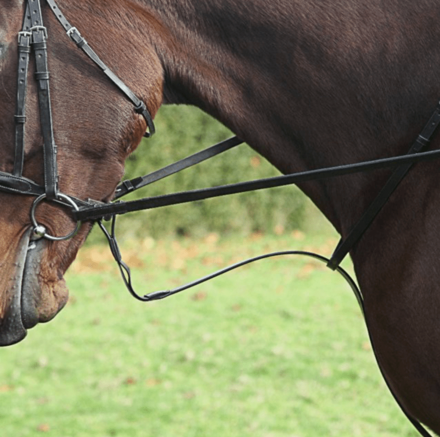 Townfields elastic standing martingale