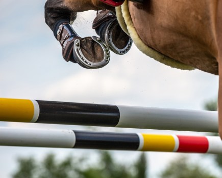 Pictured is a horse jumping wearing a pair of boots on their front legs