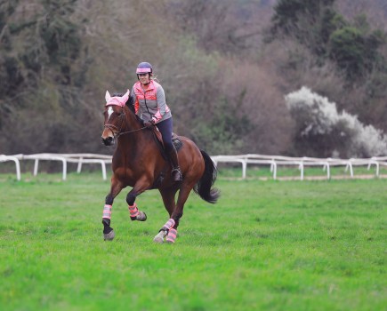 Pictured is a horse and rider hacking in an open space