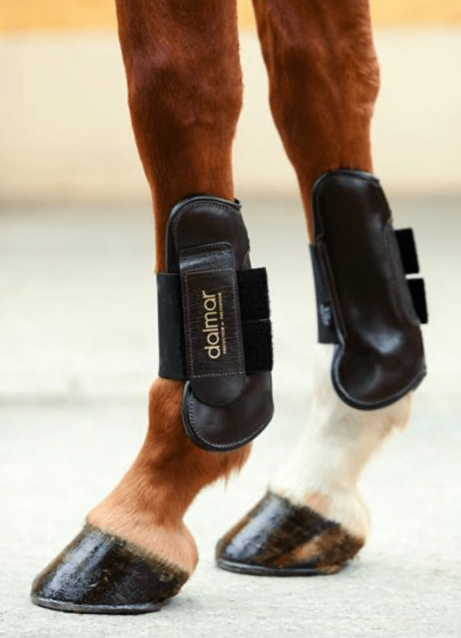Dalmar Leather Open Fronted Horse Showjumping Boots