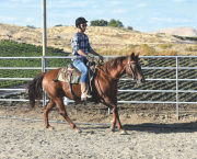 Author Ross Cooper is pictured riding Western horse style