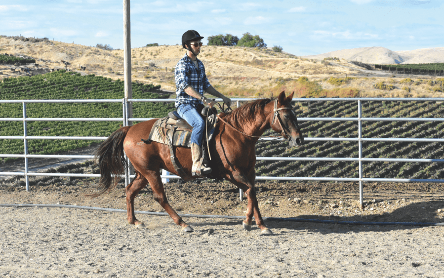 Author Ross Cooper is pictured riding Western horse style