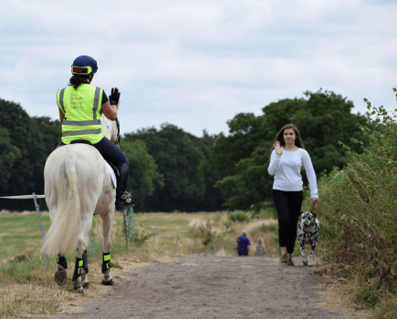 Pictured is a horse rider passing a dog walker. Both are thanking each other for passing considerately