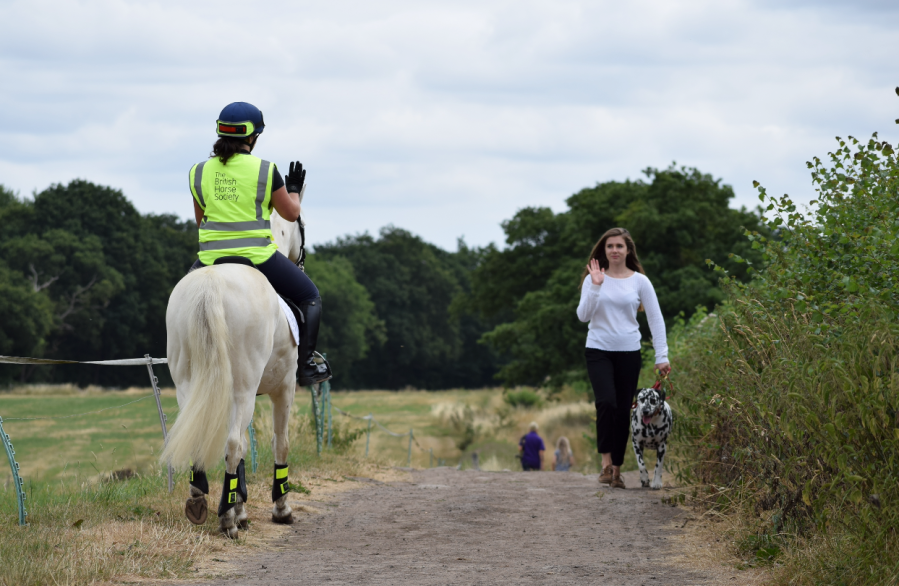Pictured is a horse rider passing a dog walker. Both are thanking each other for passing considerately