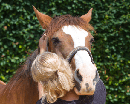 Pictured is a horse being cuddled by a person. Understanding horse behaviour is key to having a good bond and relationship