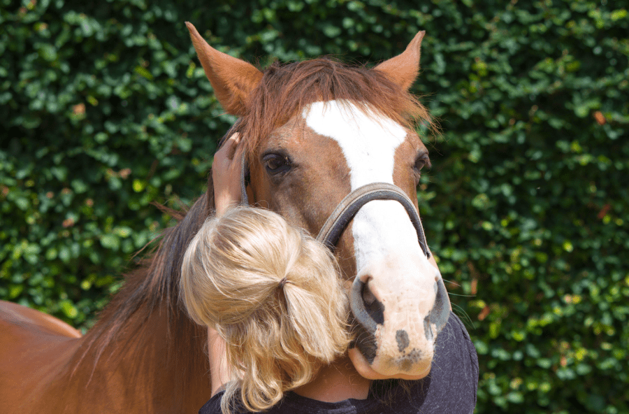 Pictured is a horse being cuddled by a person. Understanding horse behaviour is key to having a good bond and relationship