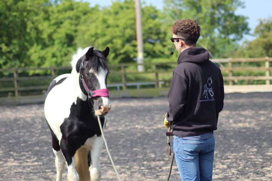 Ross is pictured working with a coloured horse in the early stages of breaking in