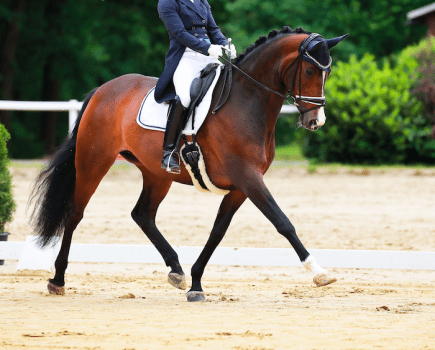 Pictured is a bay horse and rider doing a dressage test on an all-weather surface