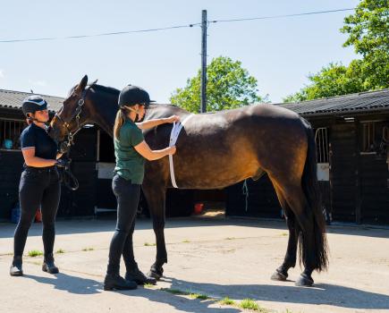 Pictured is a horse being weighed with a weigh tape