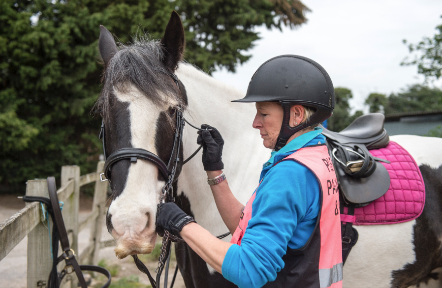 Pictured is a rider tacking up her horse and doing up the bridle