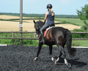 Practise riding straight lines as well as circles