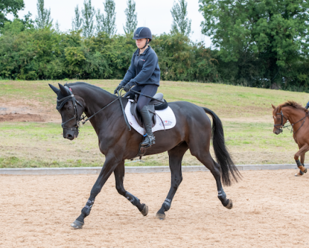 Pictured is a black horse being schooled on the flat wearing tendon boots on the front legs and fetlock boots on the hinds