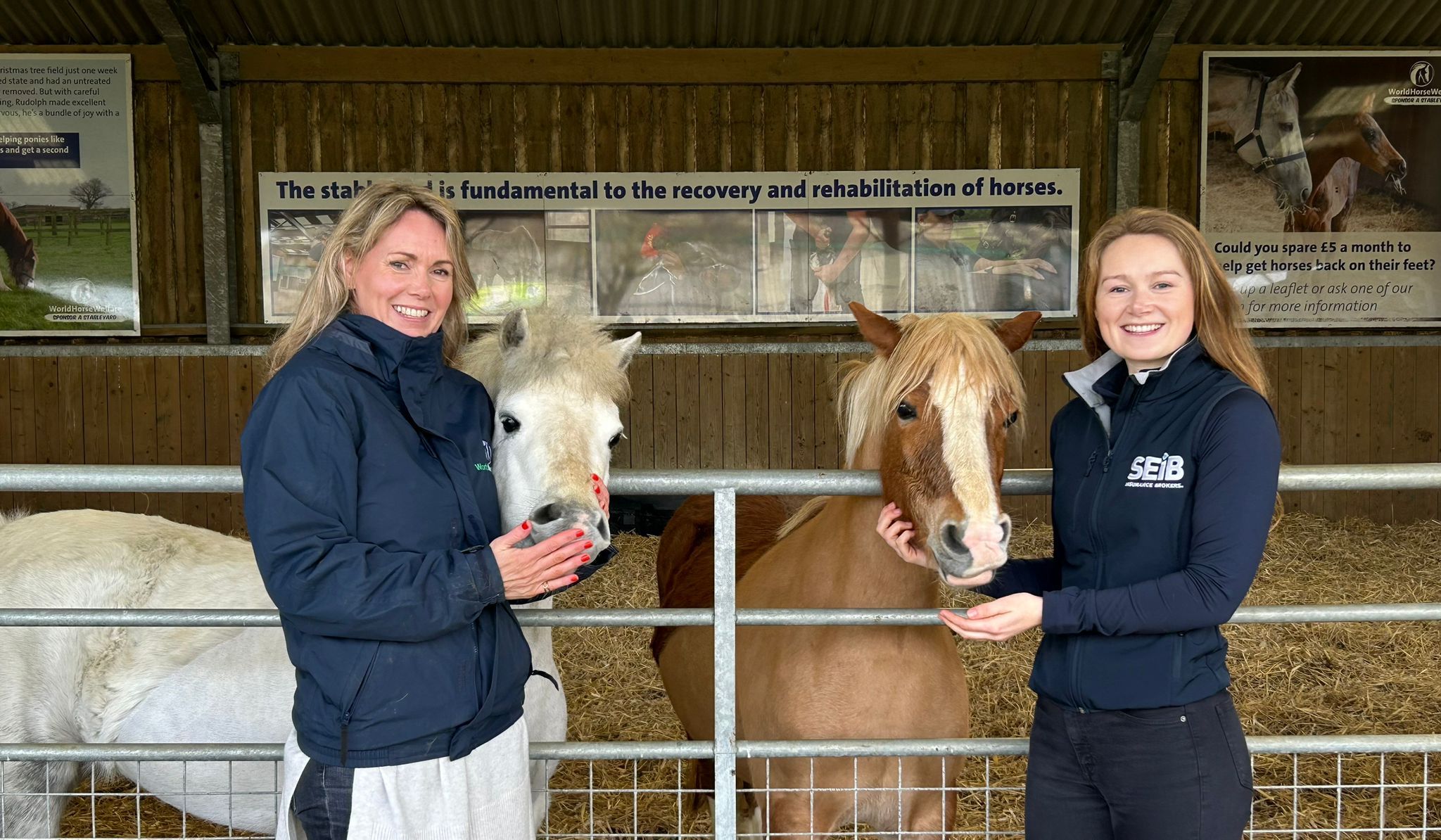 Movement for Good Awards boost animal charities including World Horse ...