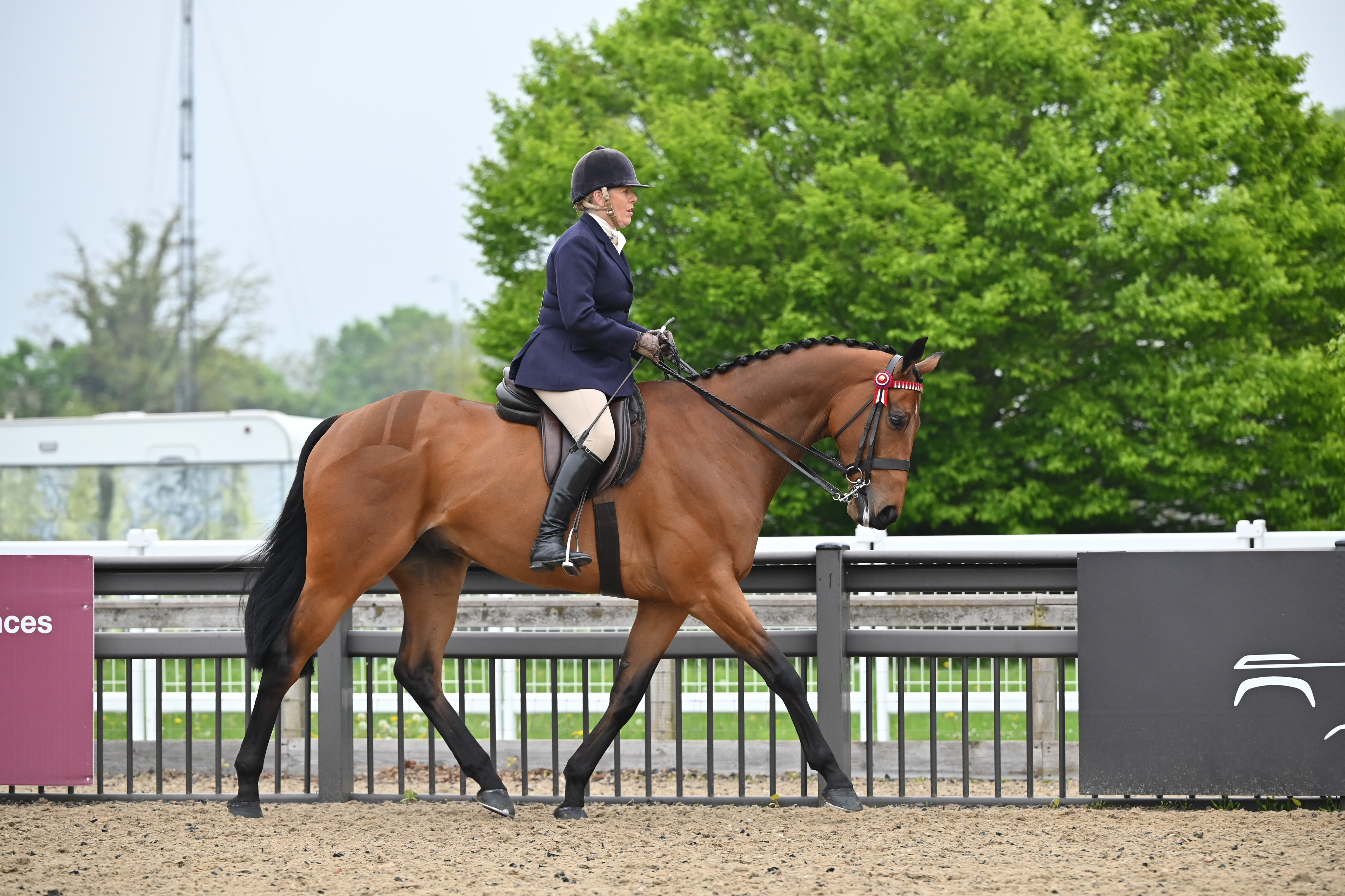 King strikes gold twice at Windsor with First Receiver - Your Horse