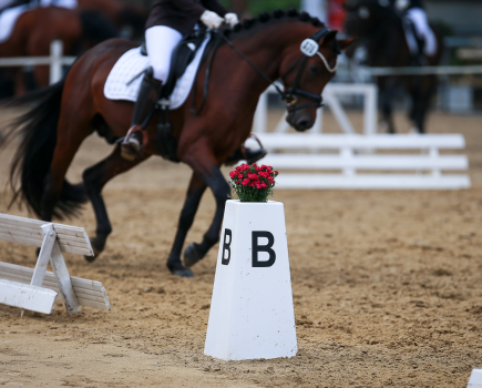 Pictured is the letter B marker on a dressage arena, with a horse and rider riding their test just out of focus behind it