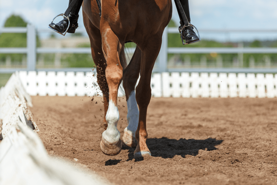 Pictured is a close up of a horse's legs in an all-weather arena; suppleness is essential in a horse for dressage