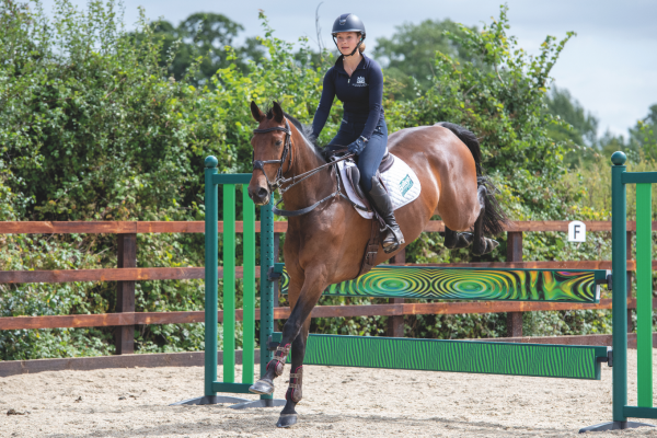 Pictured is a bay horse and rider clearing a fence made up of two bright green planks; these vertical showjumps are easy to know down