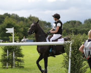 Pictured is a horse and rider entering the cross-country start box at a competition