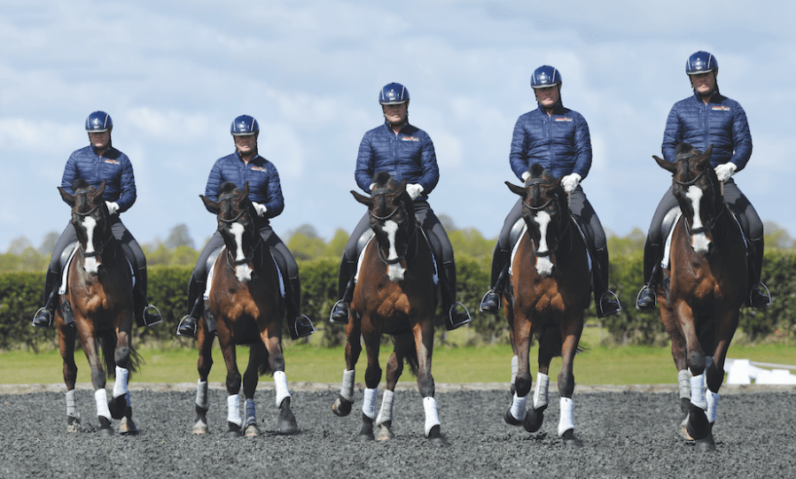 Pictured is a dressage rider Wade Barley riding leg yield left