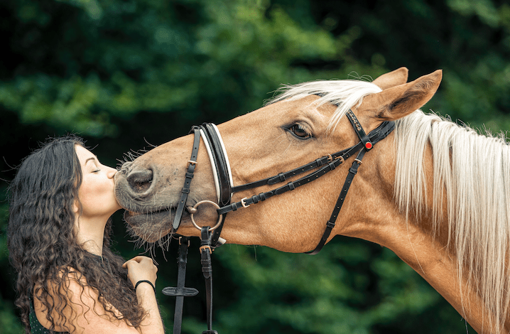 Pictured is a lady kissing a palomino horse on the nose; in the event of a divorce, the horse will be considered as part of the settlement
