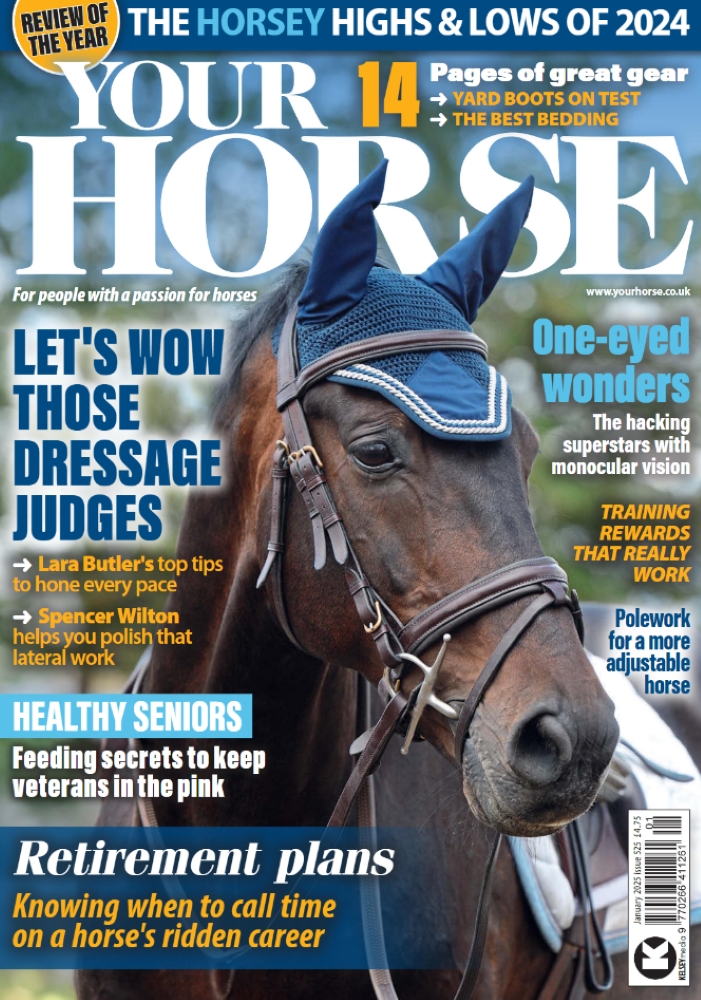 Your Horse Live 2025 Dates 