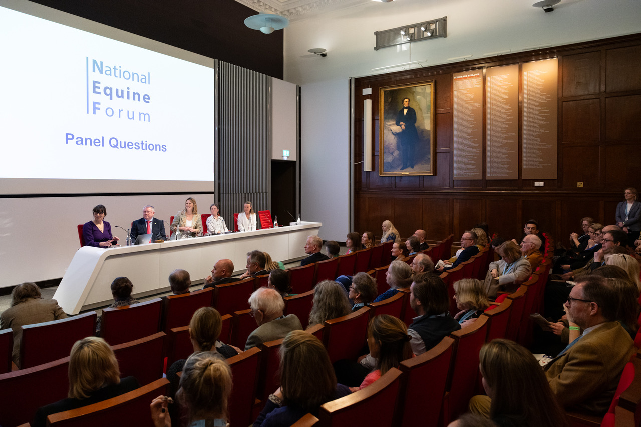 Programme announced for National Equine Forum 2025 - Your Horse