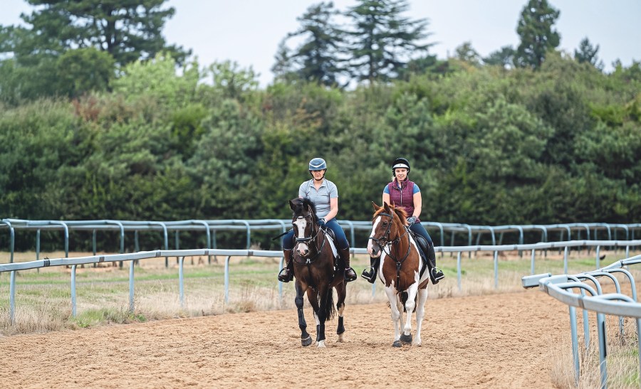 Pictured are two horses and their riders walking side by side on the gallops