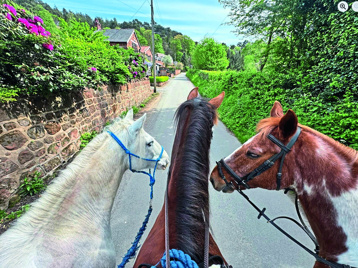 A Facebook find, rides on the other side of the world and horses that make days brighter: celebrating the best of #Hack1000Miles