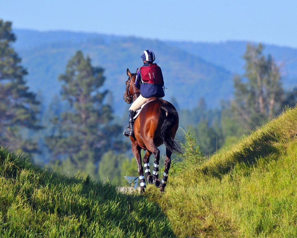 New national championships series for endurance riders - Your Horse