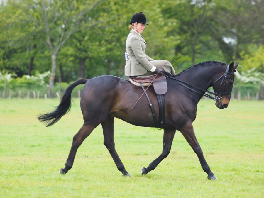 Pictured is a rider on a horse riding side saddle