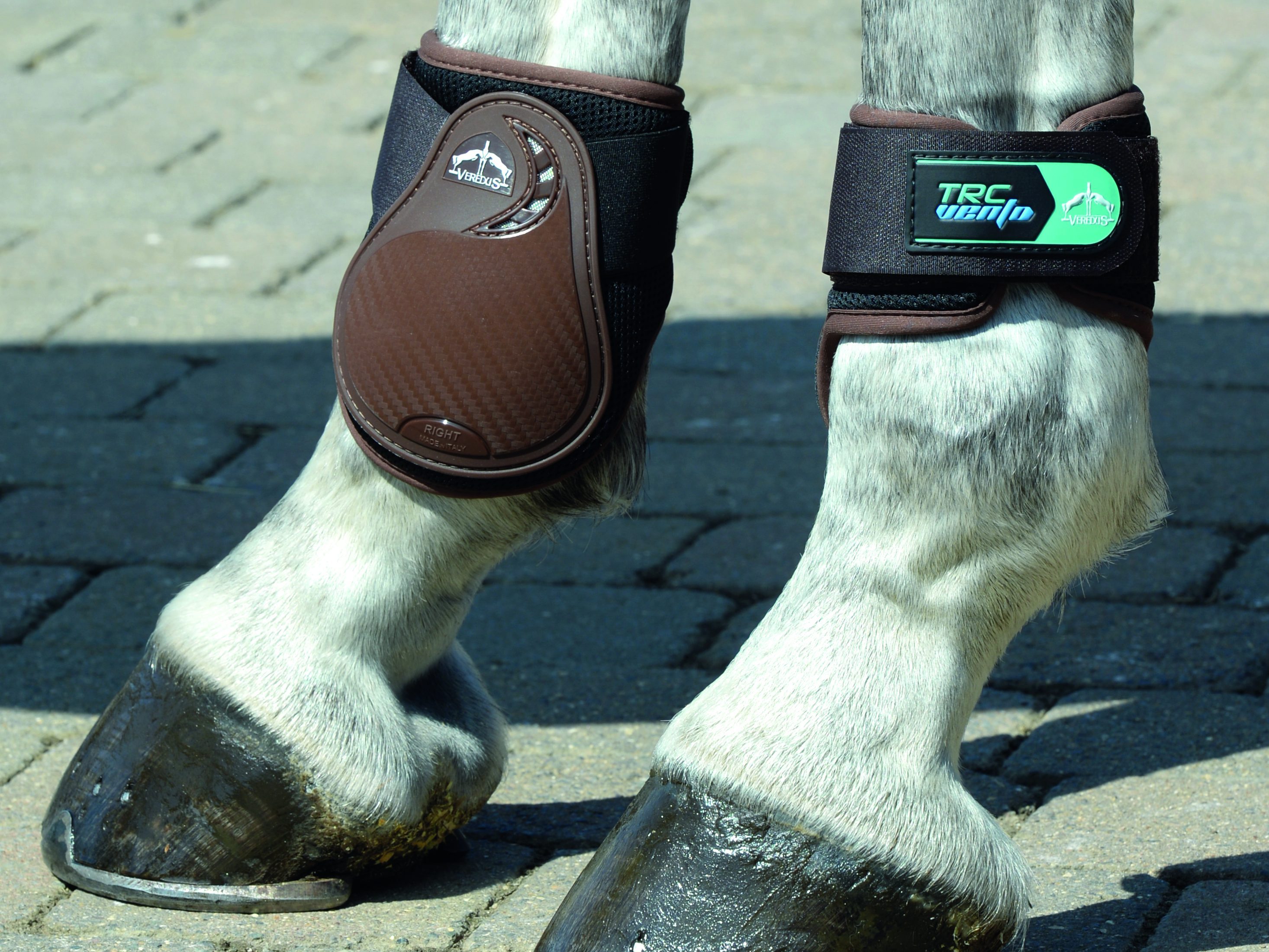 In this image, fetlock boots are worn
