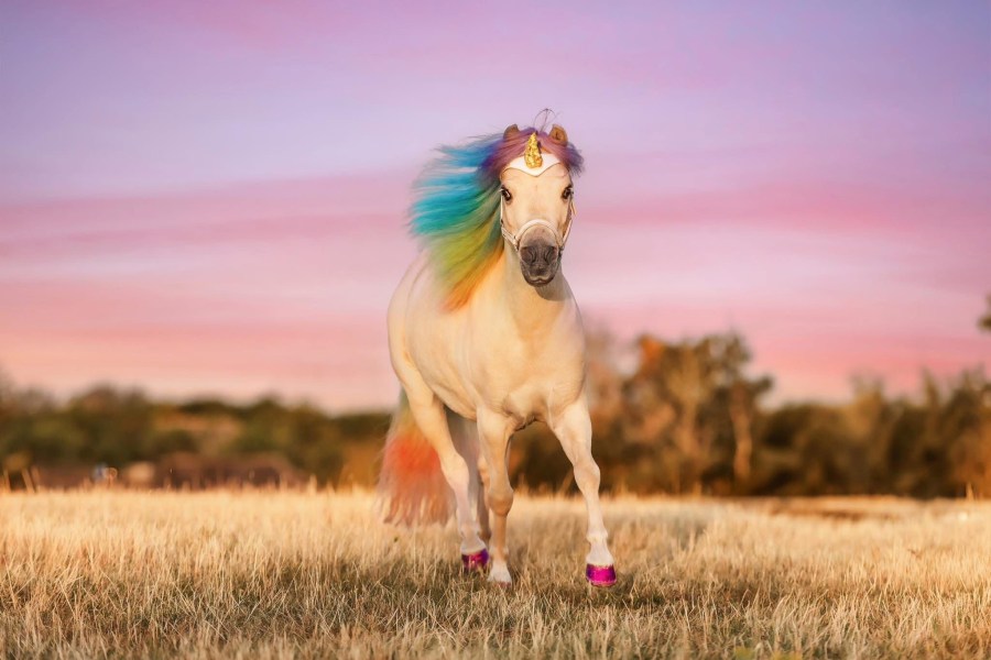 Henny the unicorn