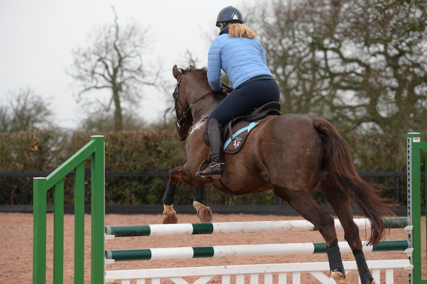 Essential guide to horse health insurance: costly gastric ulcers and colic are leading causes of claims