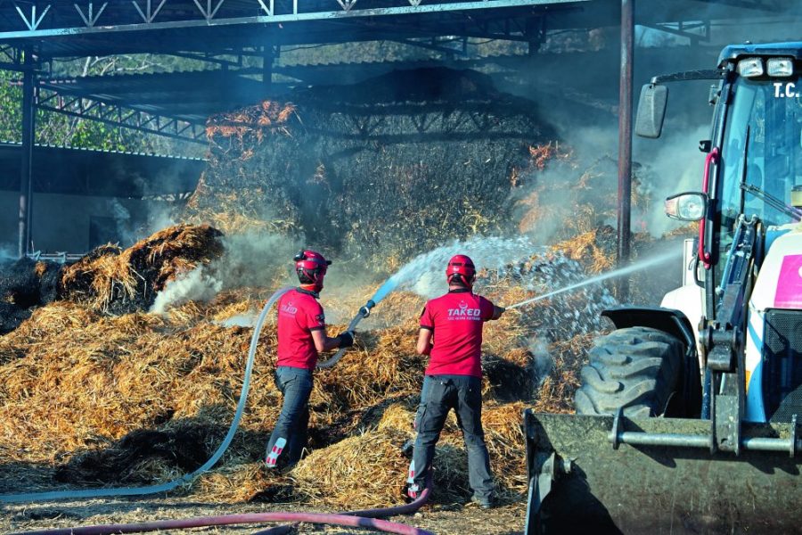 Forest Fire in Izmir Tire on August 17, 2024