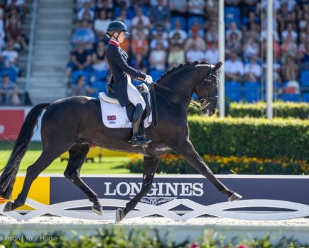 Lottie Fry and Glamourdale in the grand prix special at the 2026 Wold Championships