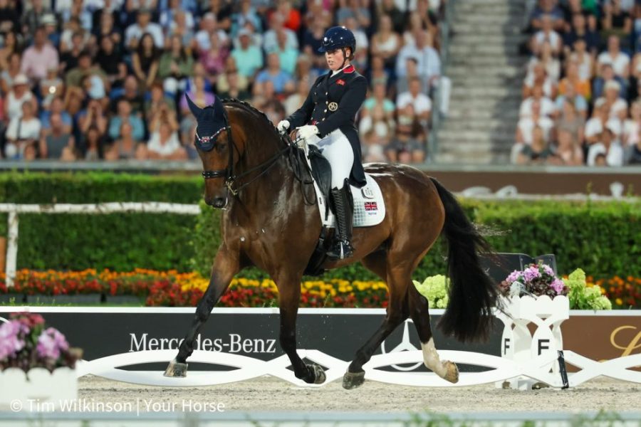 Becky Moody and Jagerbomb in the freestyle at the 2026 dressage World Championships