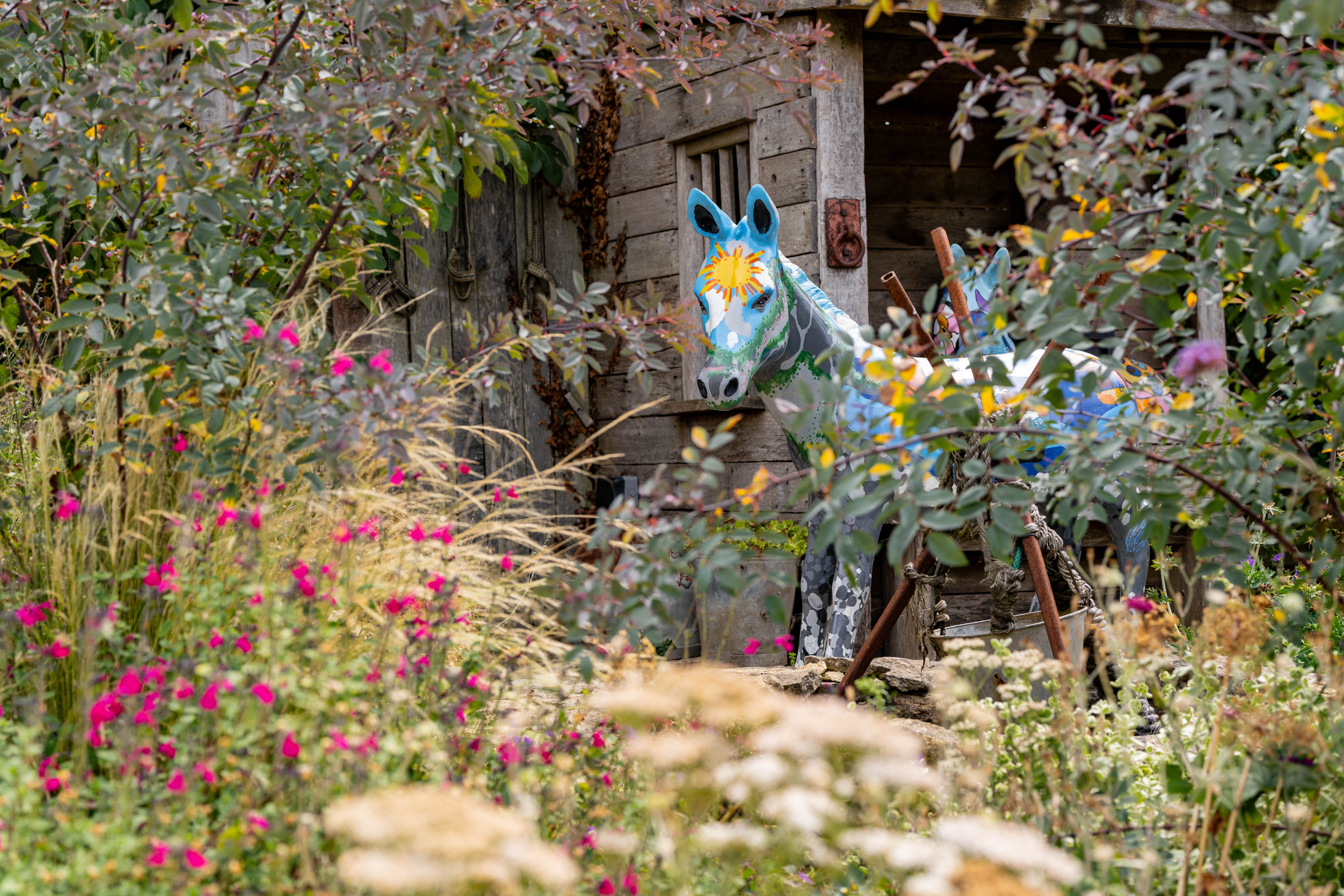 Donkey Sanctuary hosts Gardeners’ Question Time, with unplanned visit from four-legged friend