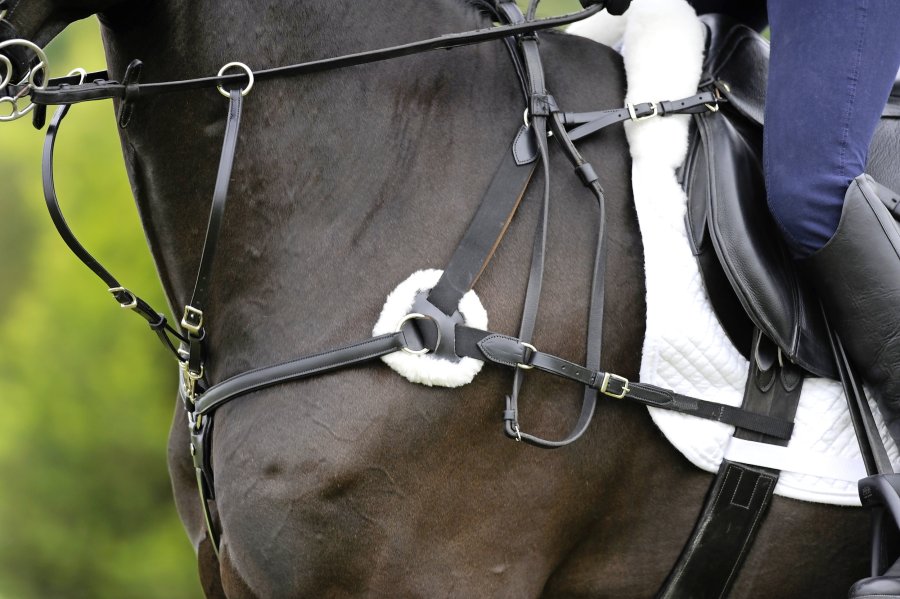 A five-point breastplate attaches at five points on the horse's saddle. The one pictured has a running martingale attachment.
