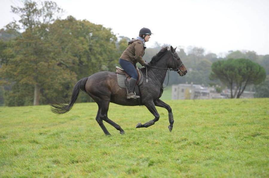 Your Horse editor Aimi riding her horse Bee