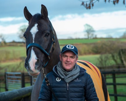 Pictured is Alan Davies with Valegro. The supergroom has created his own range of Alan Davies grooming brushes