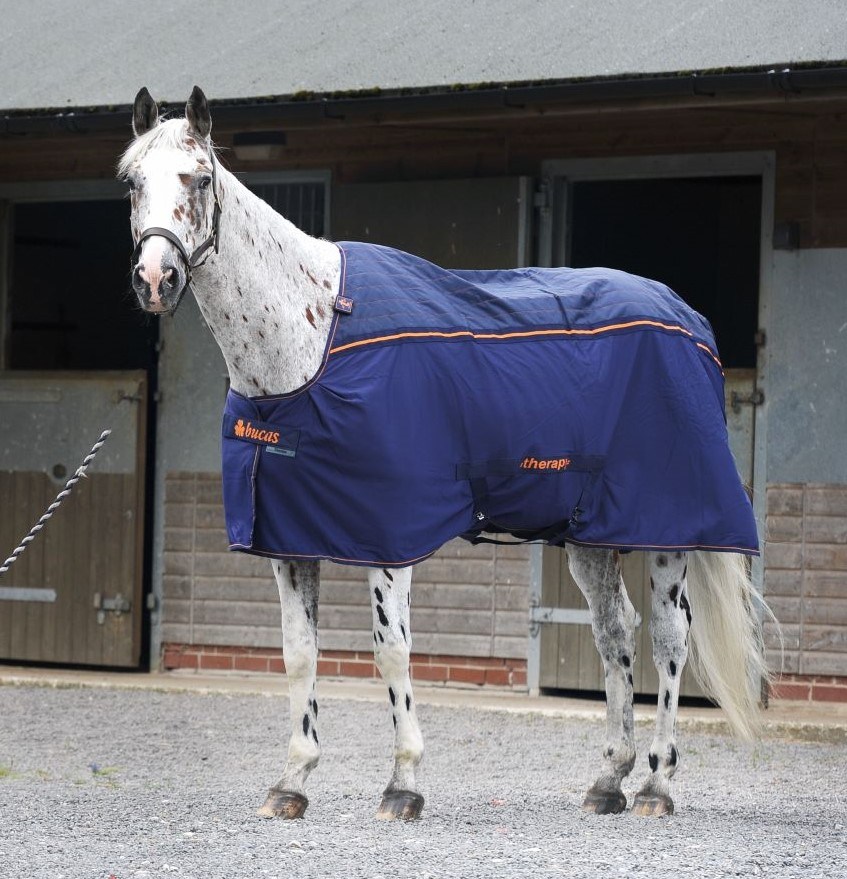 Therapy Rug Therapy horse rugs tried and tested to find which really work - Your Horse