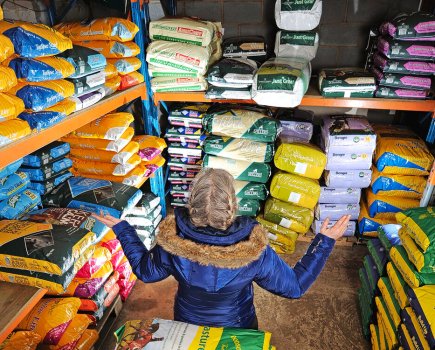 The horse feed market is a large one, but it's important to be fully aware of what and how much is going into your horse's bucket