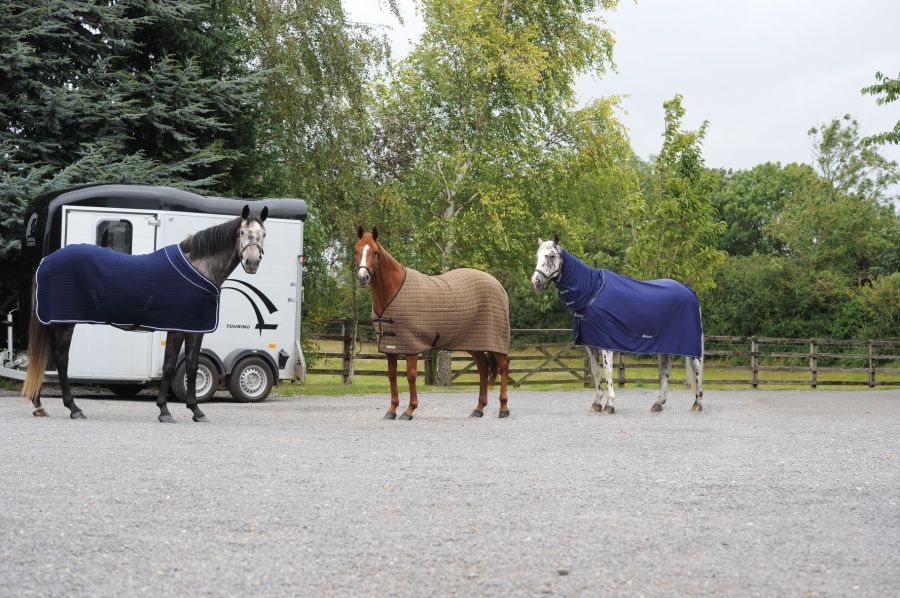 Cooler rugs 18 versatile cooler blankets to keep your horse