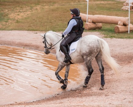 Pictured is a grey horse and rider walking into a water fence on a cross-country course, ideal prep for meeting puddles and water while out hacking