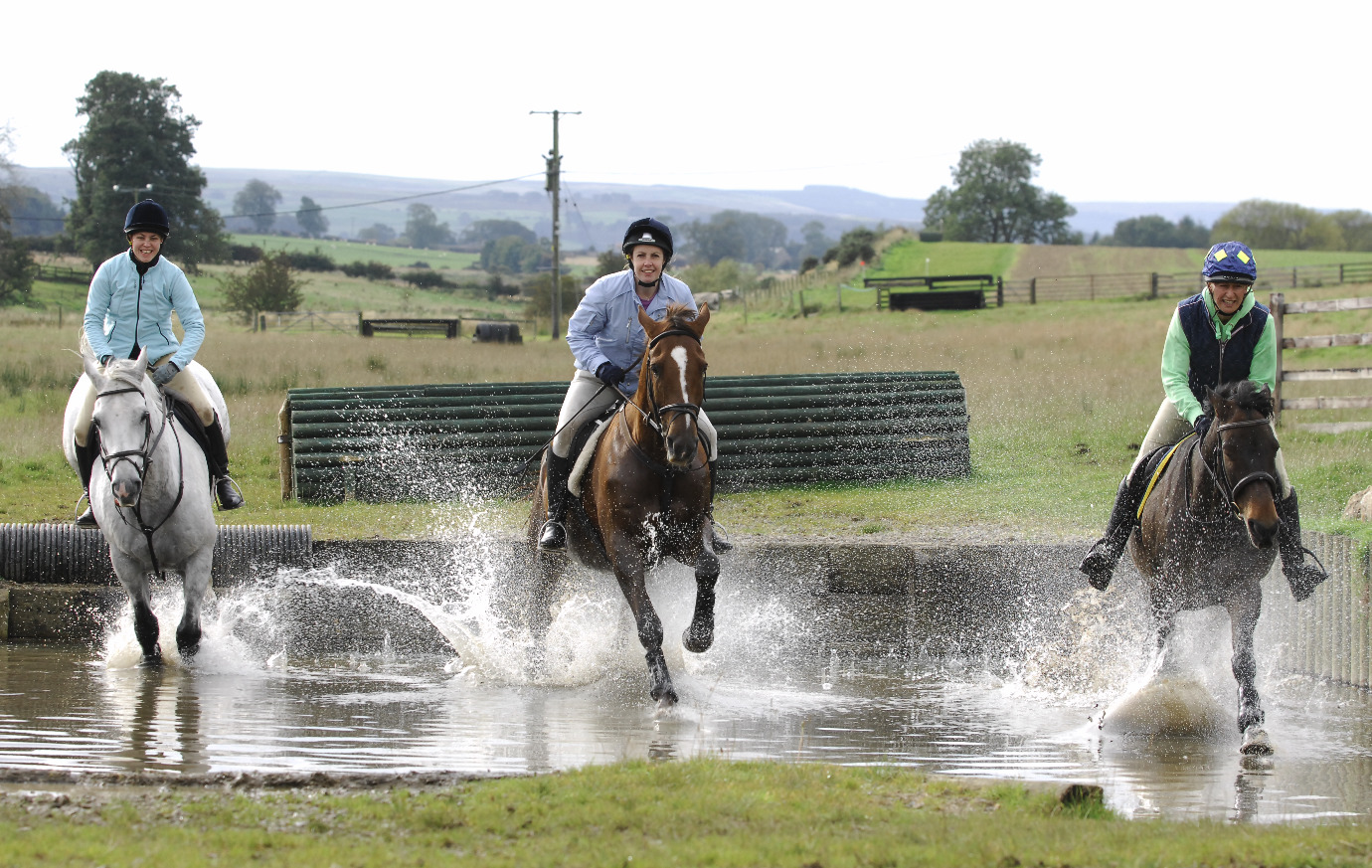 What Supplements Does a Performance Horse Need? Your Horse