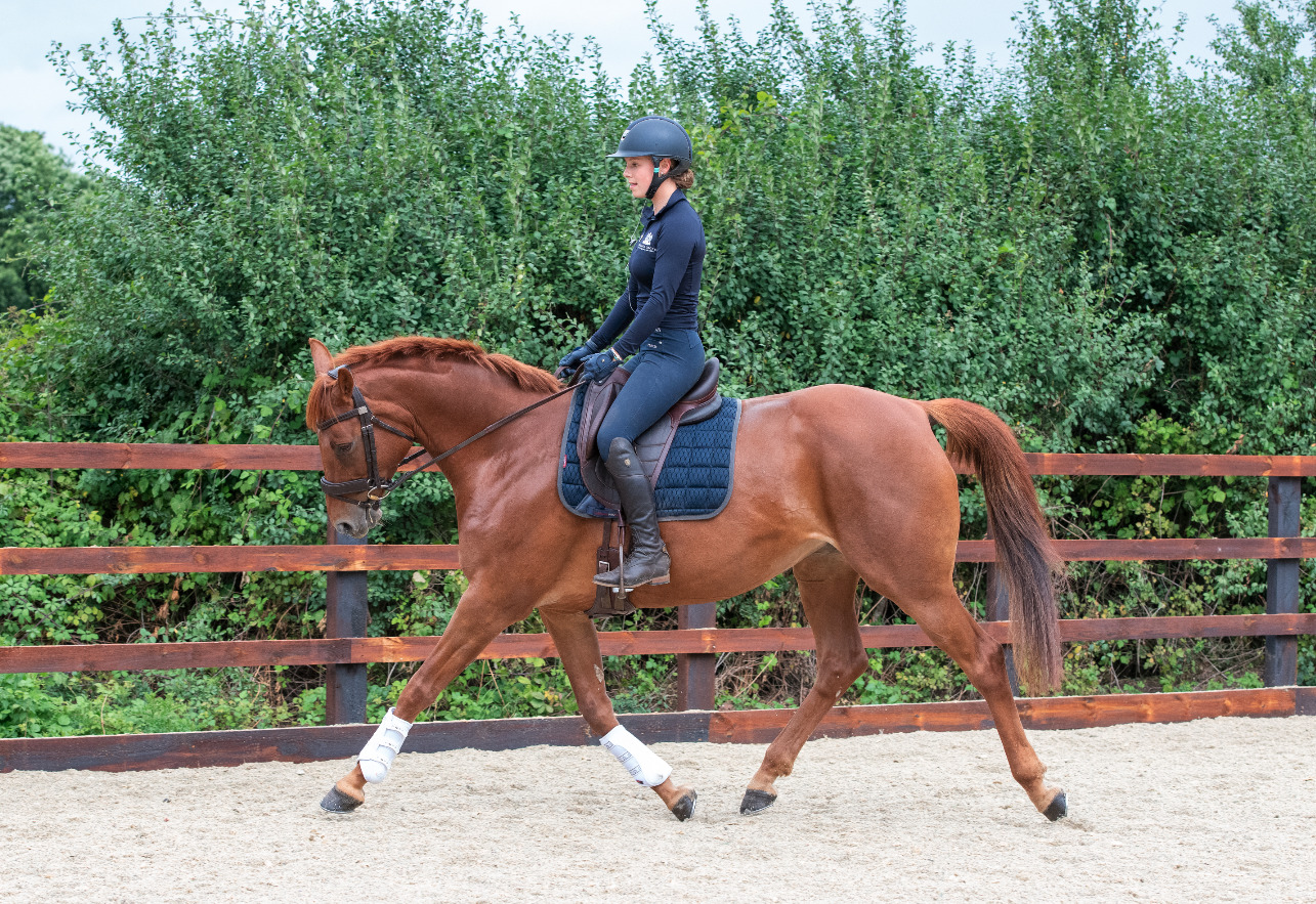 How to ride two half 10m circles with a change of rein correctly in a dressage test — plus 3