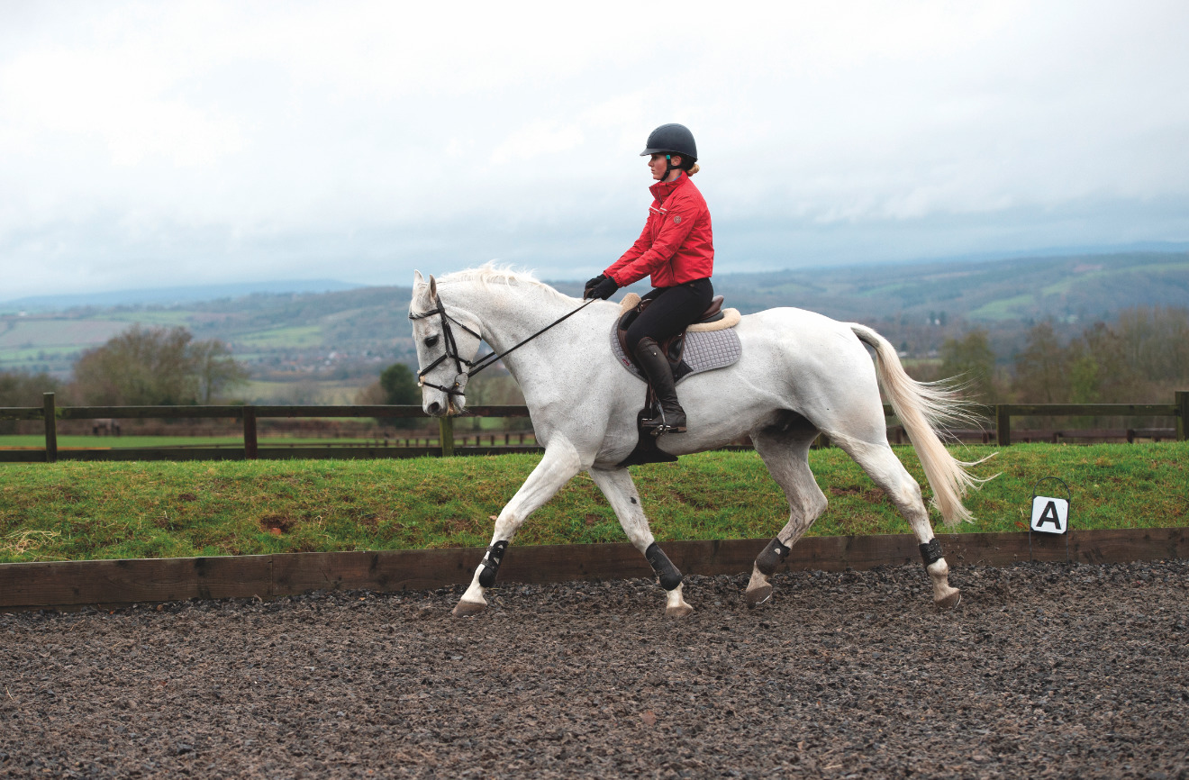 Why good posture is so important for your horse