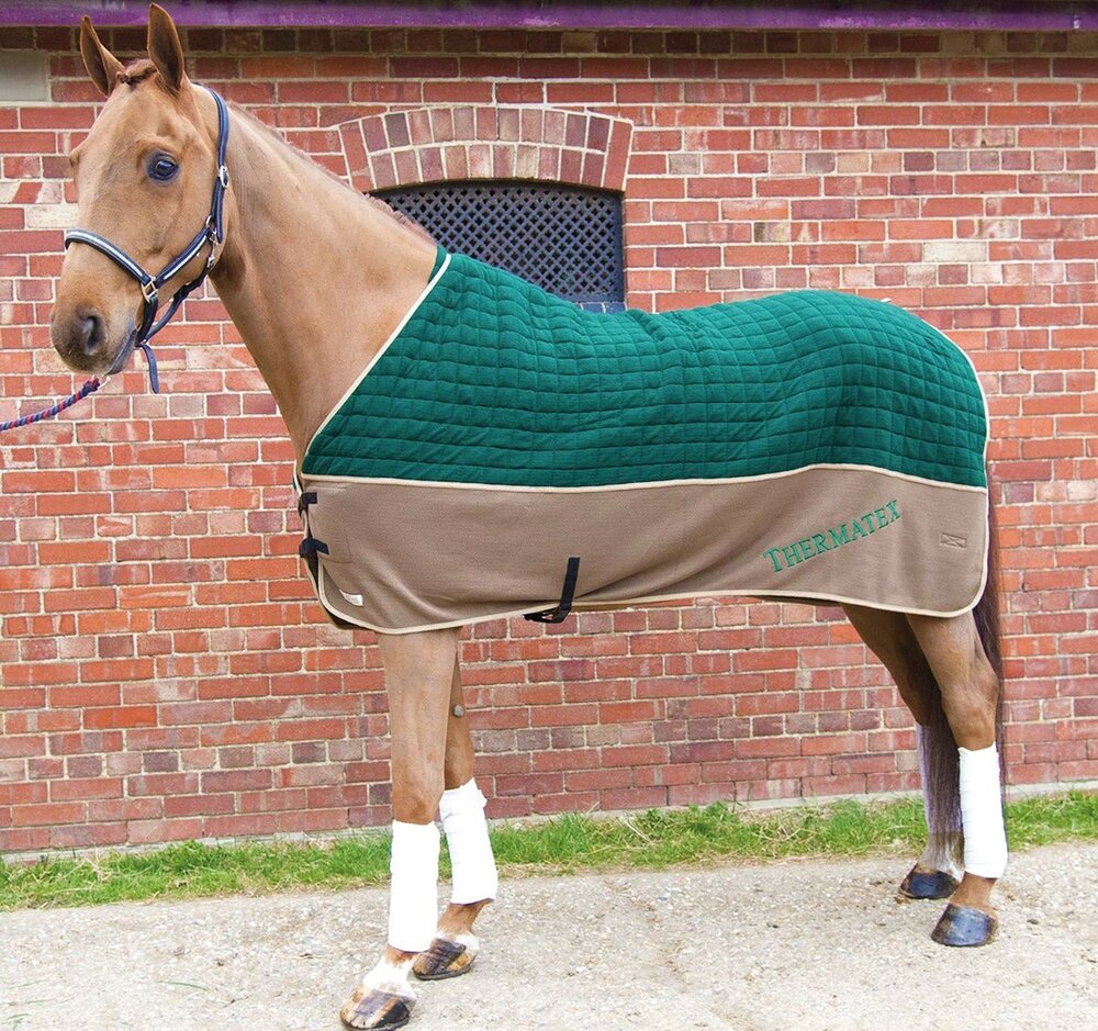 7 Coolers to Keep Your Horse Comfortable This Winter Your Horse