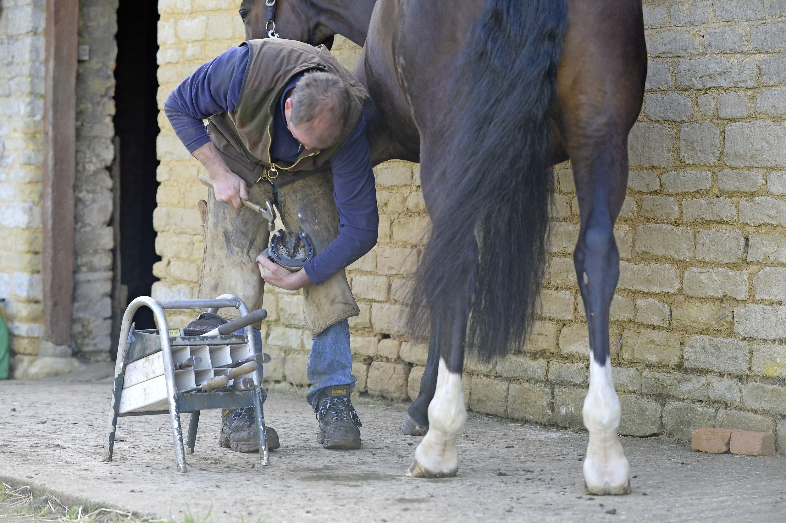 Navicular The signs, why it happens and how it's treated Your Horse