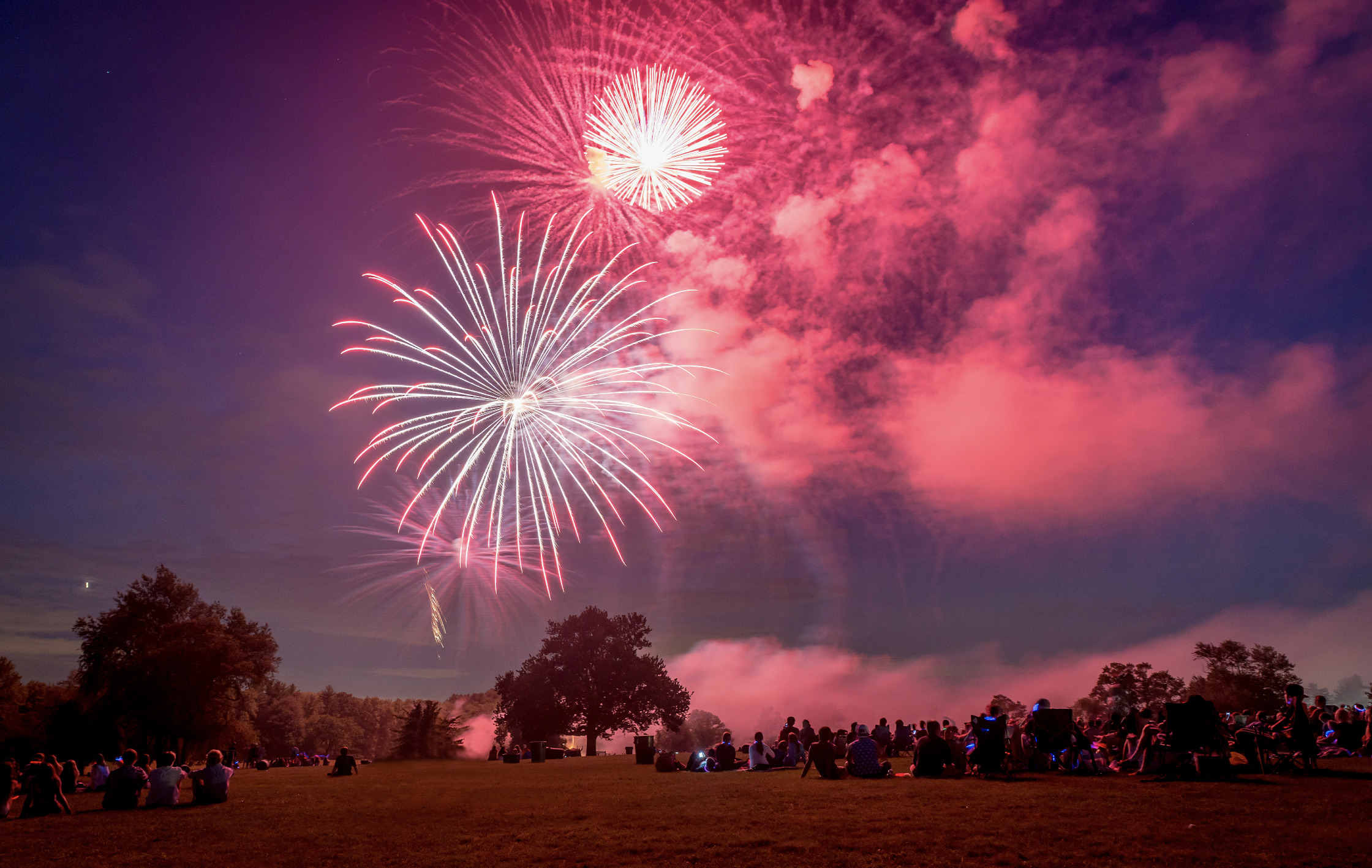 Four horses already killed this year due to fireworks displays, BHS